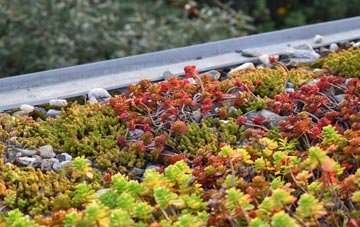 the cost of South Newington green roof installation