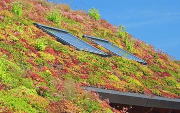 South Newington living roof systems